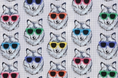 Dogs in Sunglasses