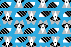 Racoons Blue